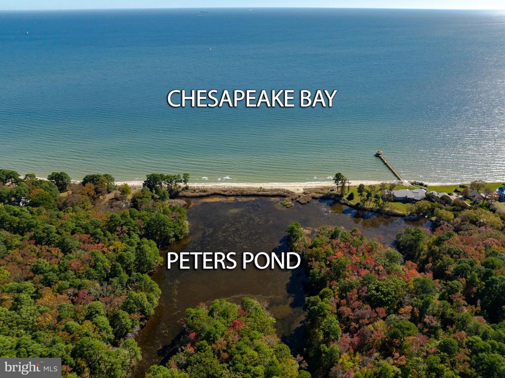50645 HOLLY POINT ROAD