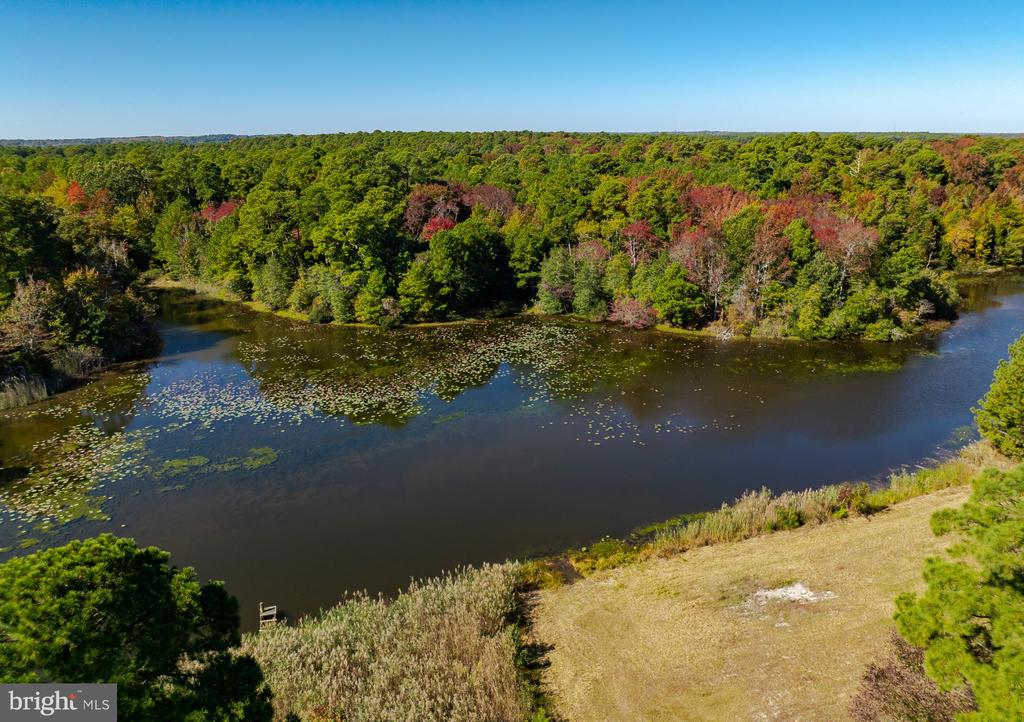 50645 HOLLY POINT ROAD