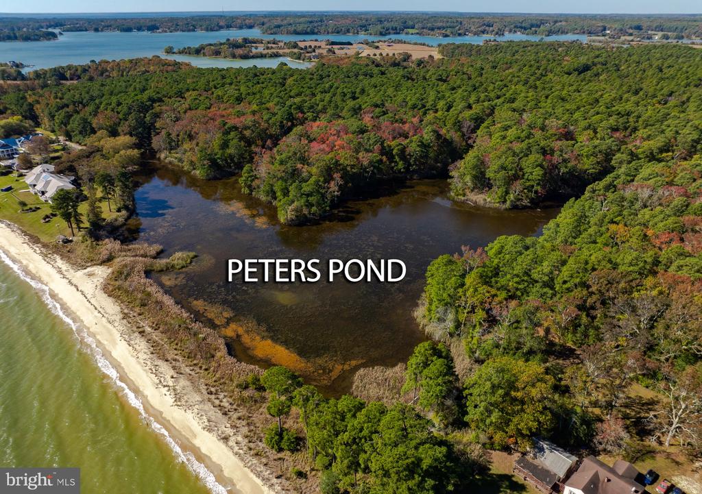50645 HOLLY POINT ROAD