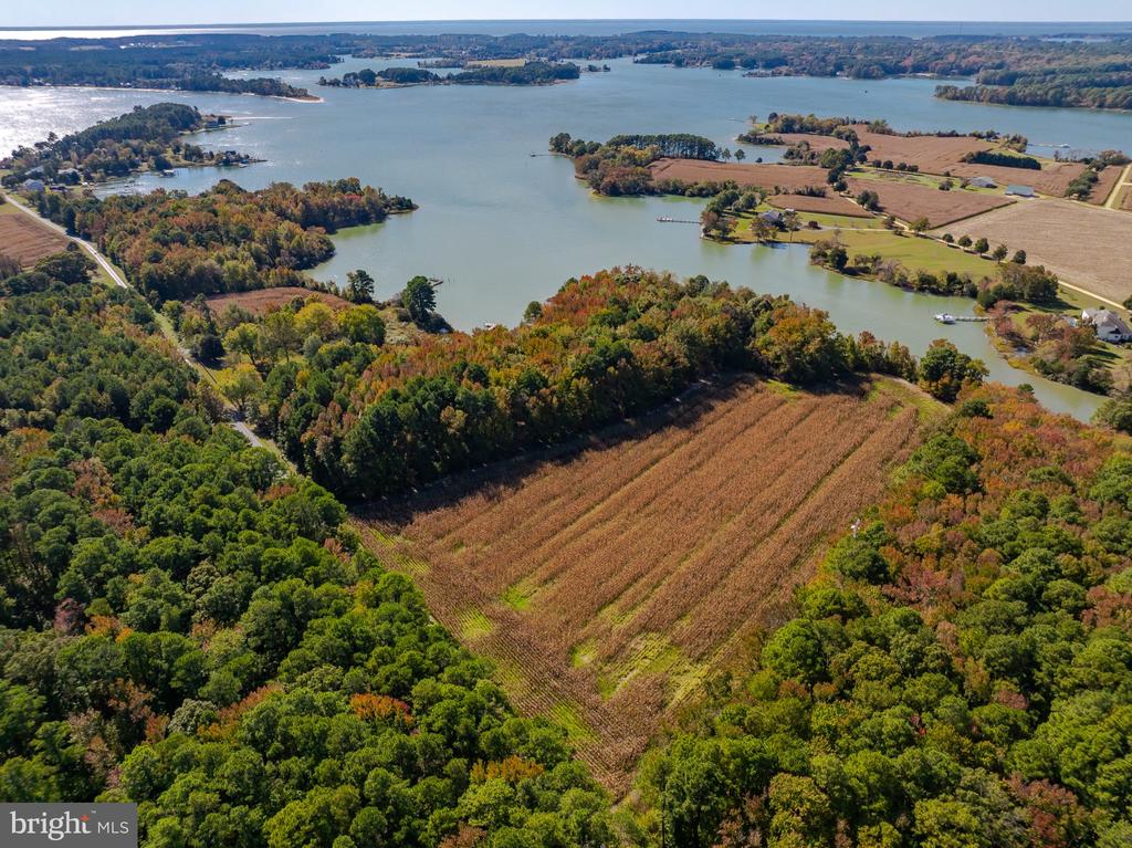 50645 HOLLY POINT ROAD