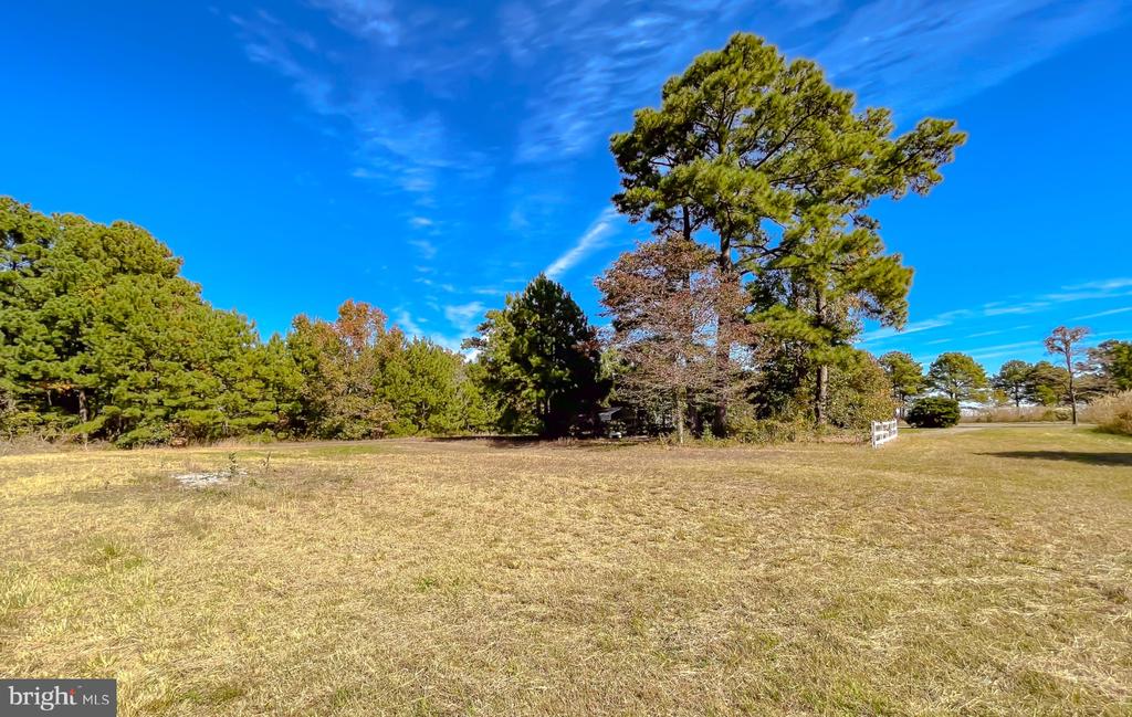 50645 HOLLY POINT ROAD