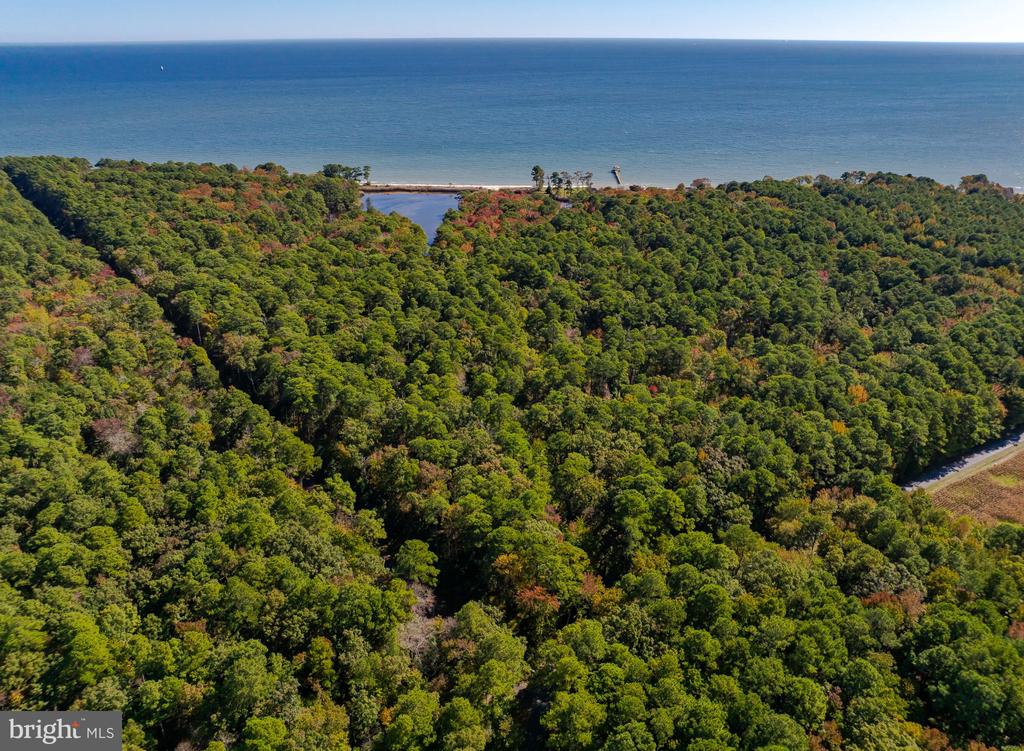 50645 HOLLY POINT ROAD