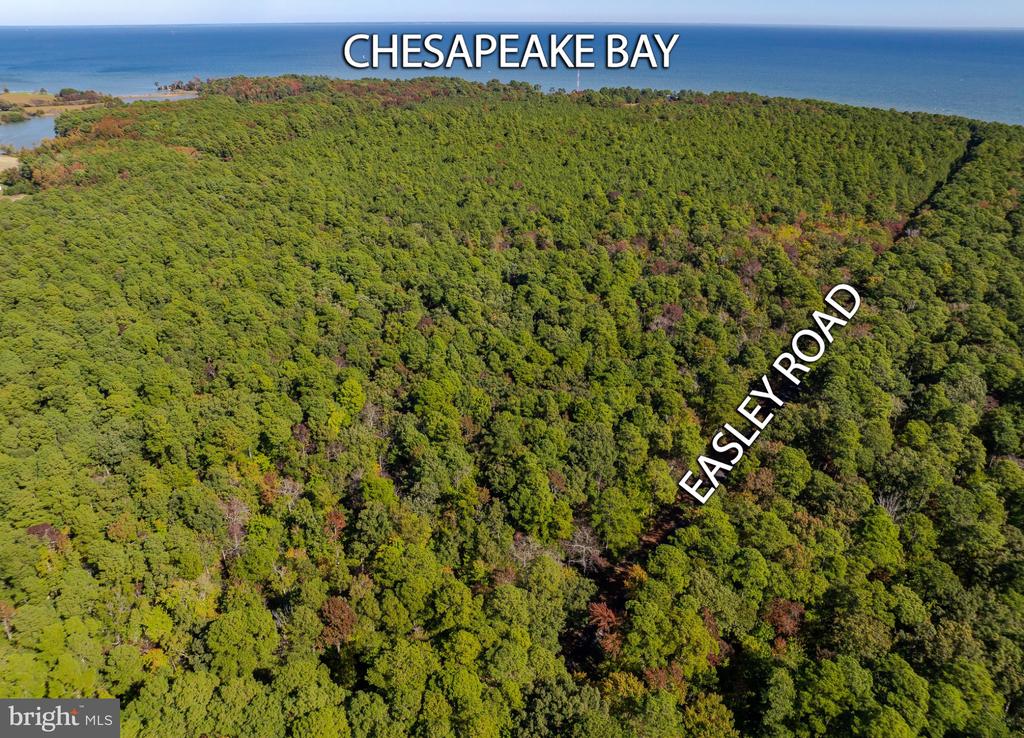 50645 HOLLY POINT ROAD