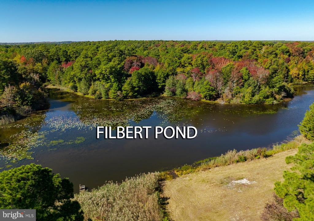 50645 HOLLY POINT ROAD