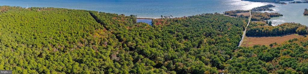 50645 HOLLY POINT ROAD