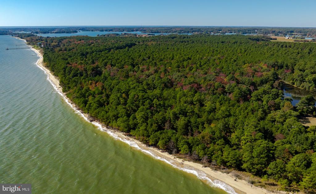 50645 HOLLY POINT ROAD