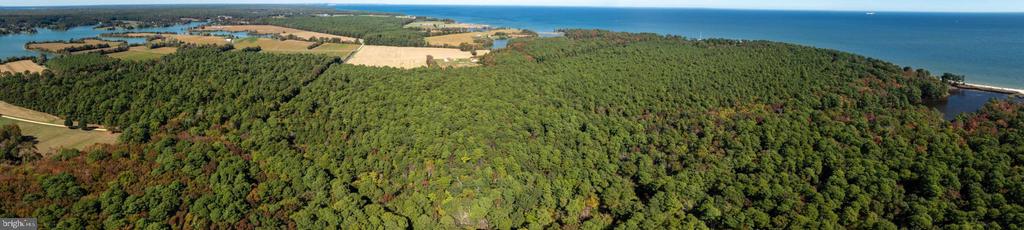 50645 HOLLY POINT ROAD