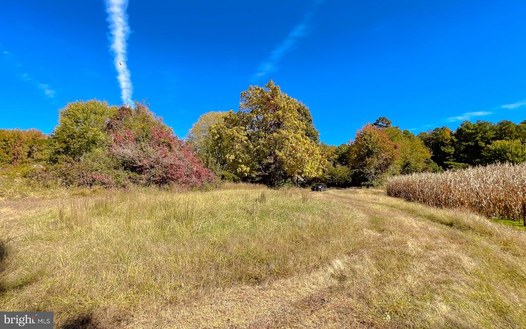 50645 HOLLY POINT ROAD