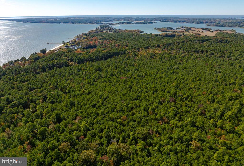 50645 HOLLY POINT ROAD