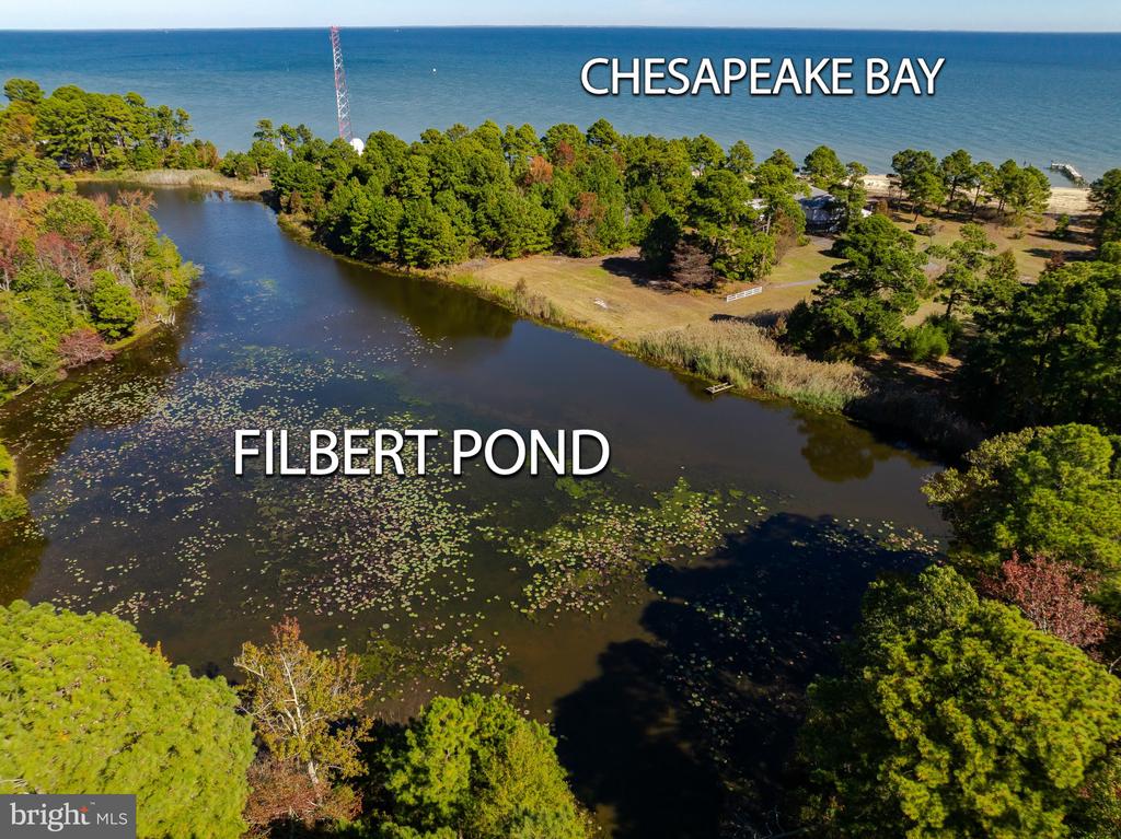 50645 HOLLY POINT ROAD