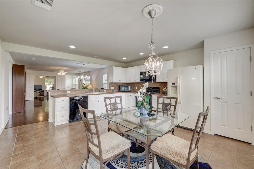 518 Salt Creek LN