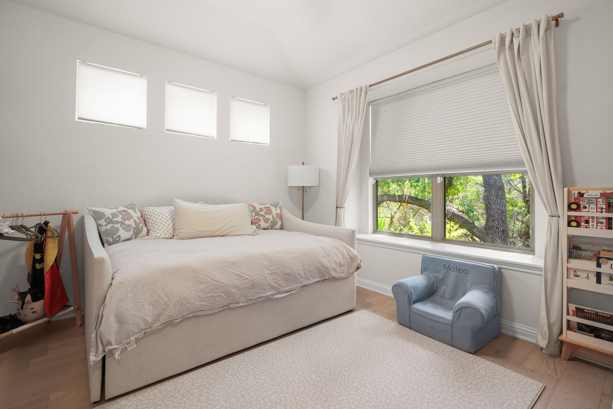 4613 Pyrenees PASS