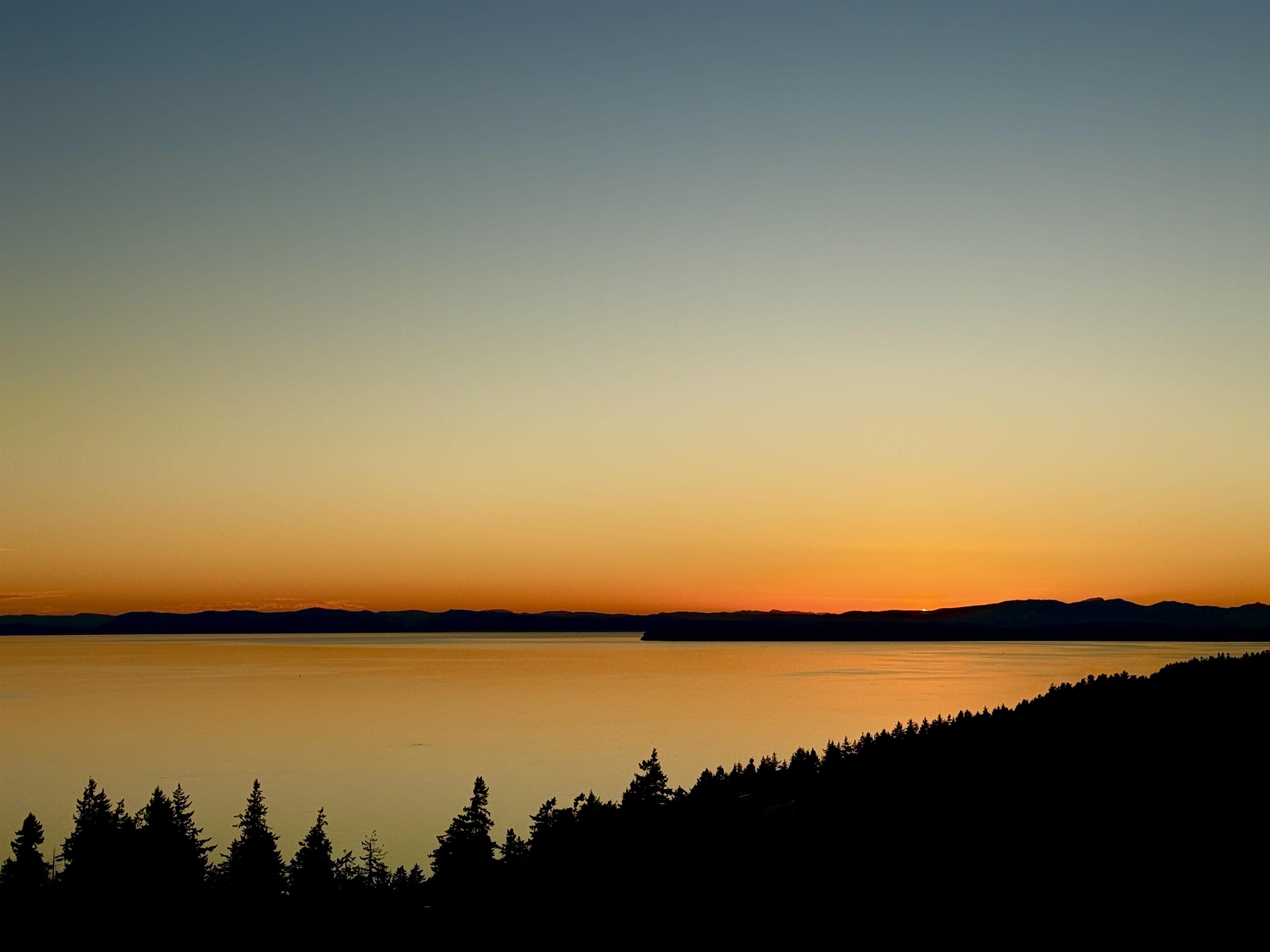 1804 1501 FOSTER STREET, White Rock Unit: 1804