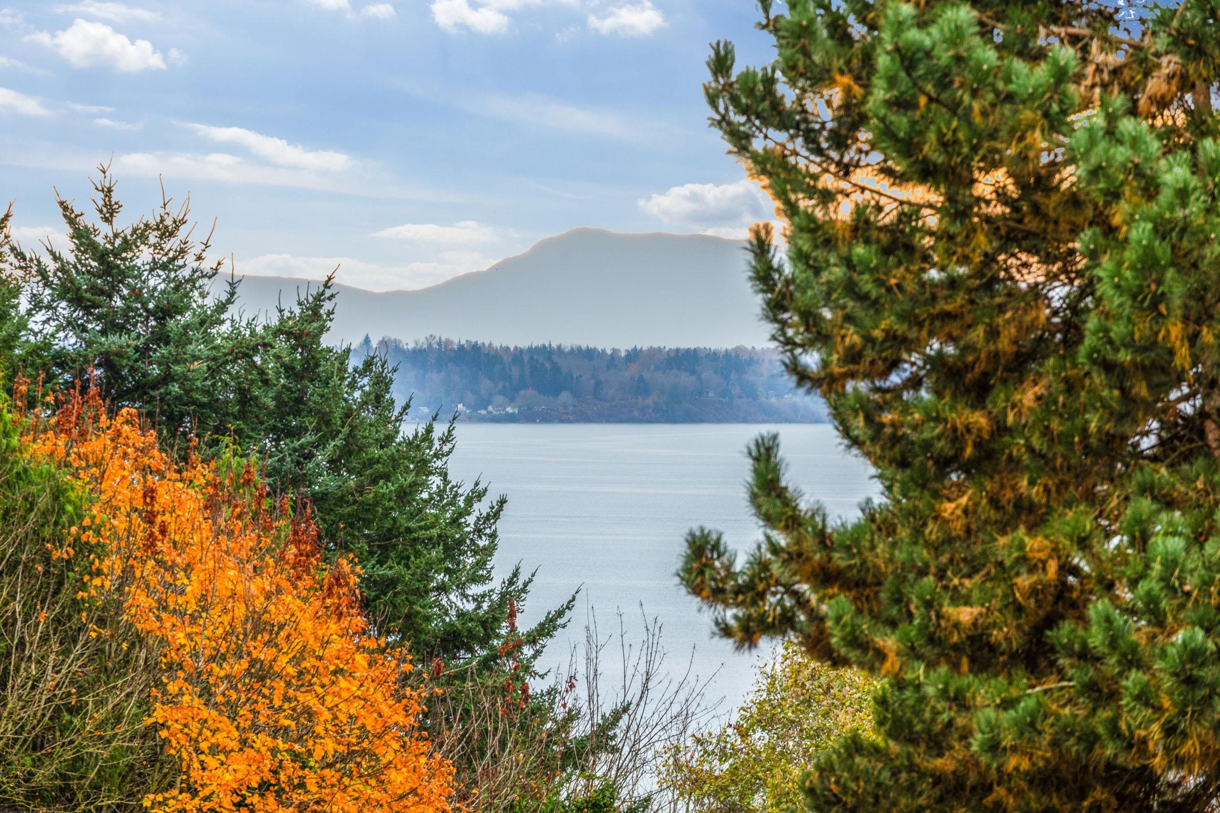 304 1351 VIDAL STREET Unit: 304