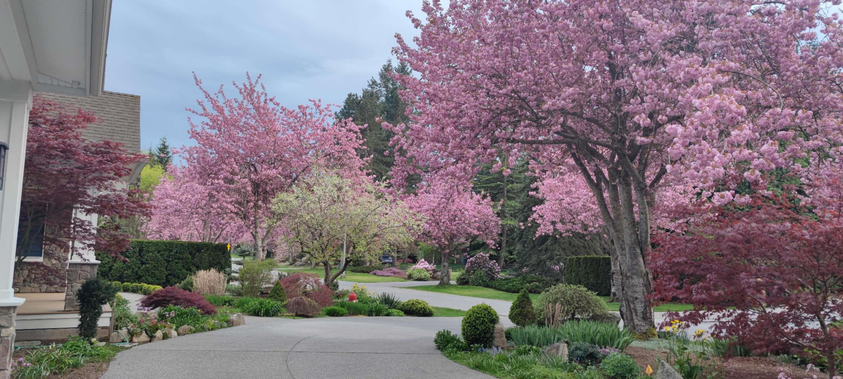 2732 NORTHCREST DRIVE