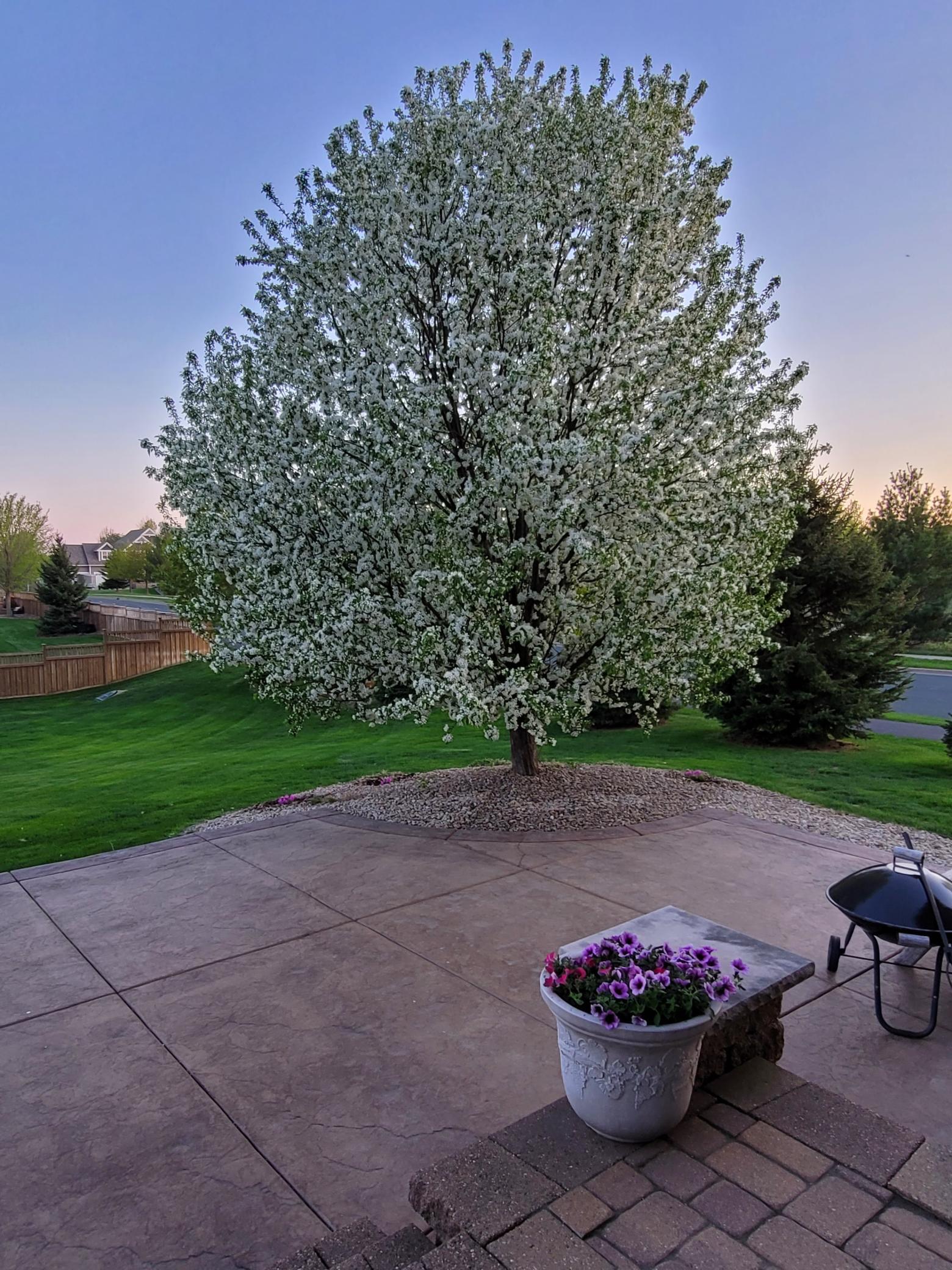 3373 Turner Drive SW