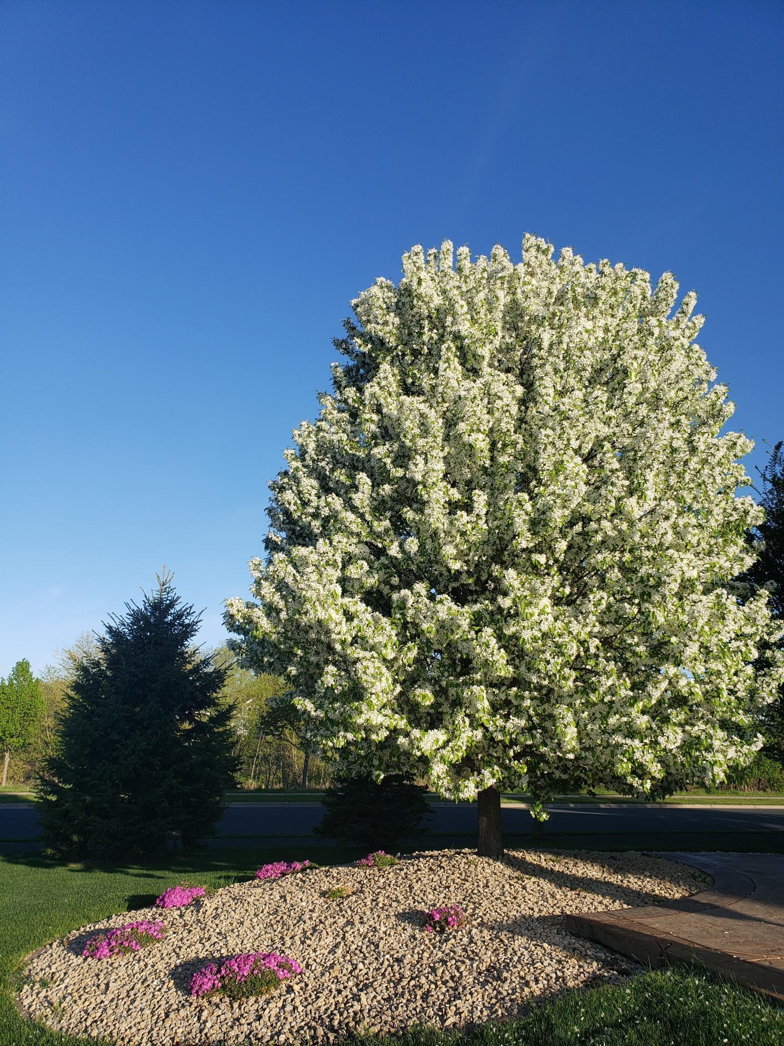 3373 Turner Drive SW