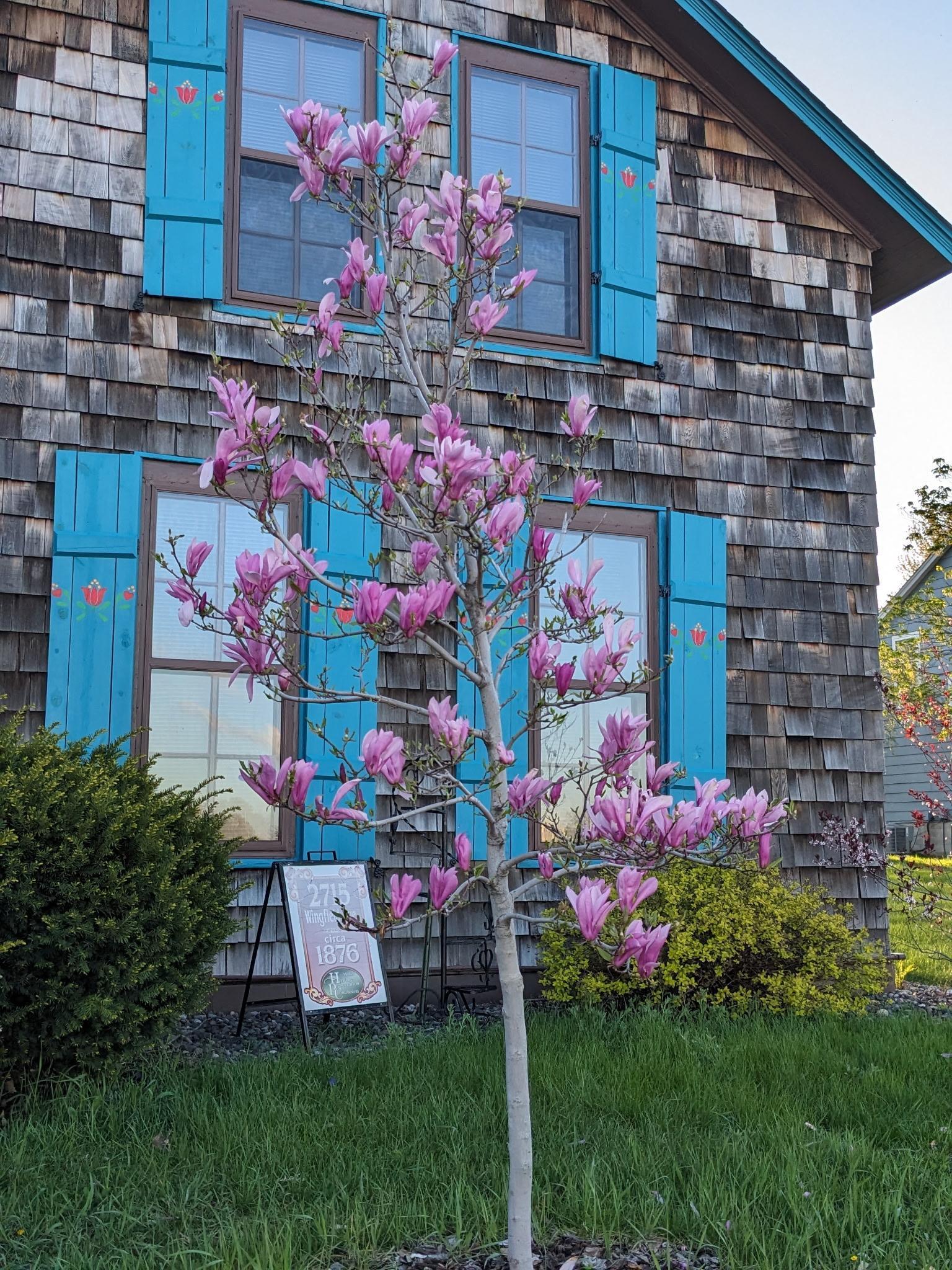 2715 Wingfield Avenue