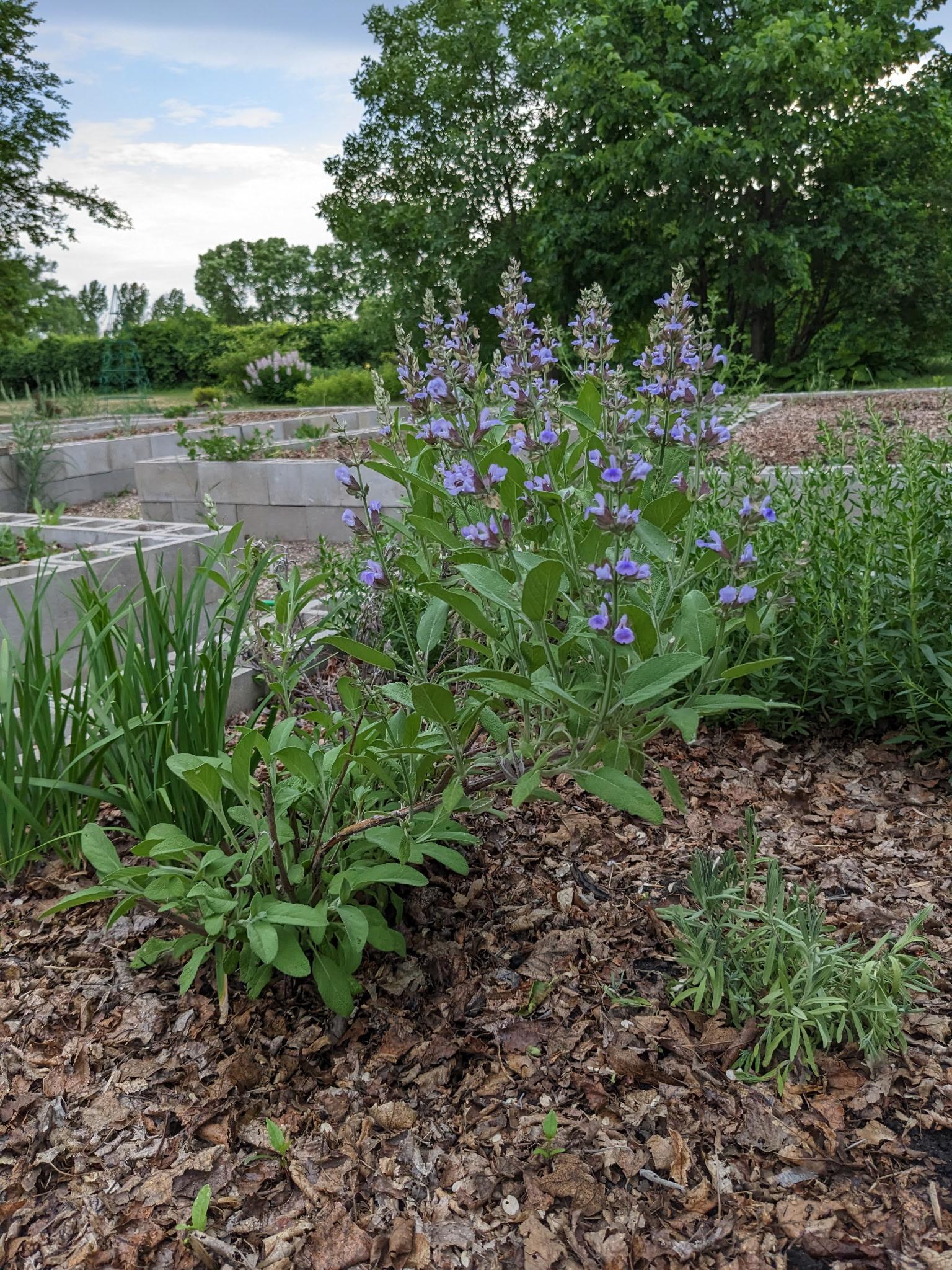 2715 Wingfield Avenue