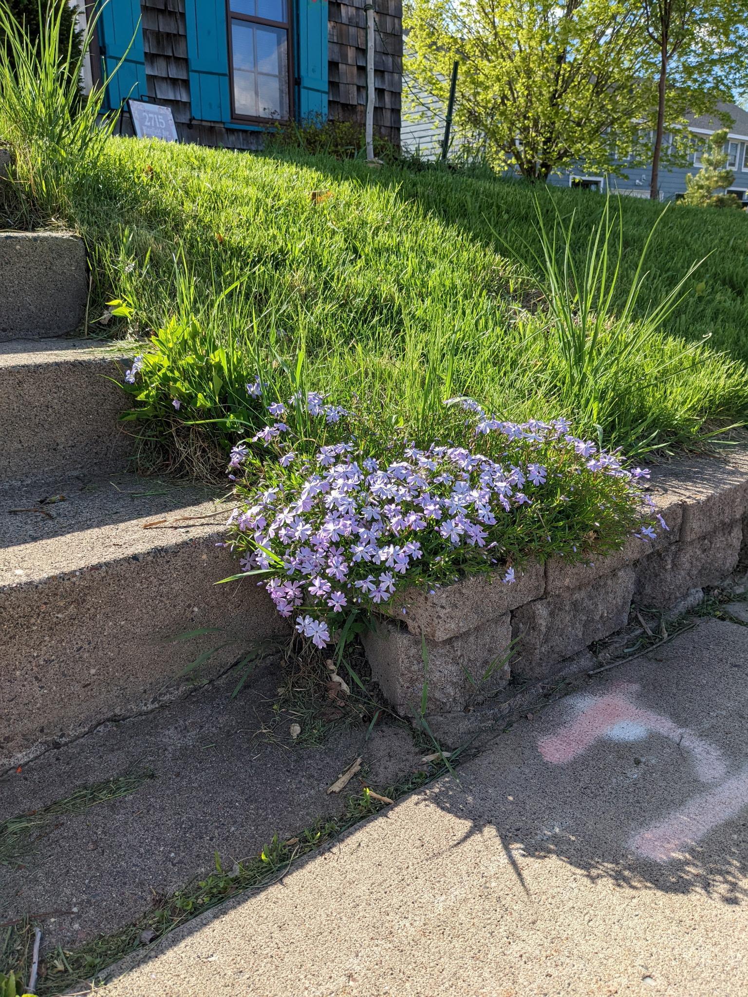 2715 Wingfield Avenue