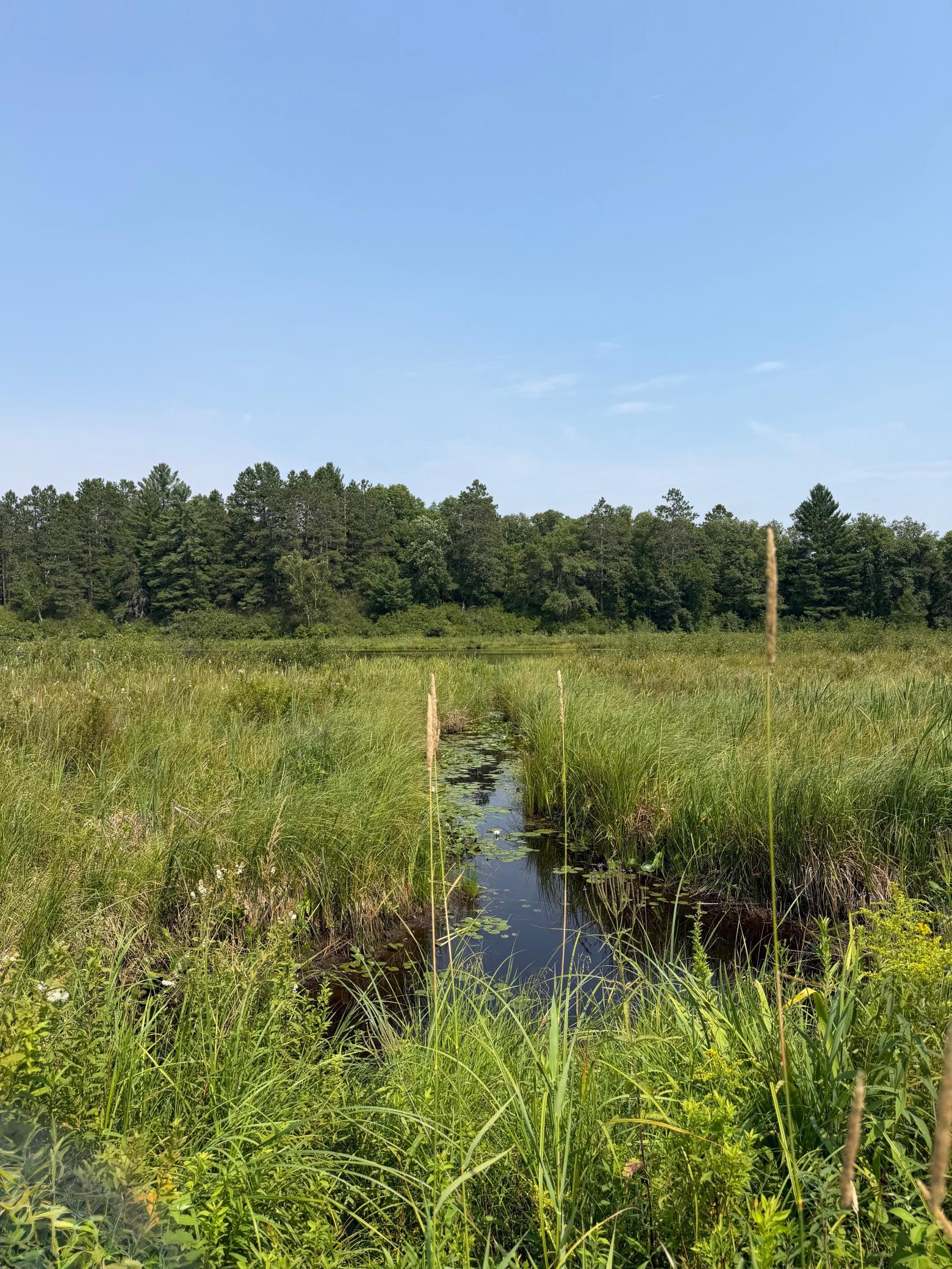 2490 County Road 39