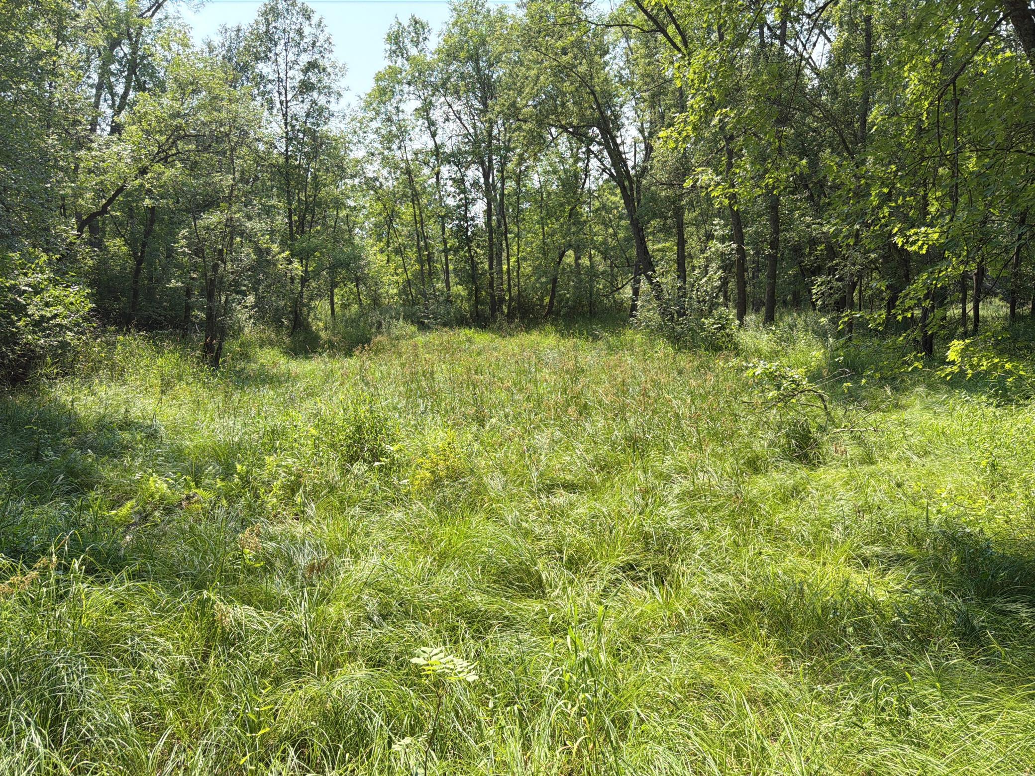 2490 County Road 39