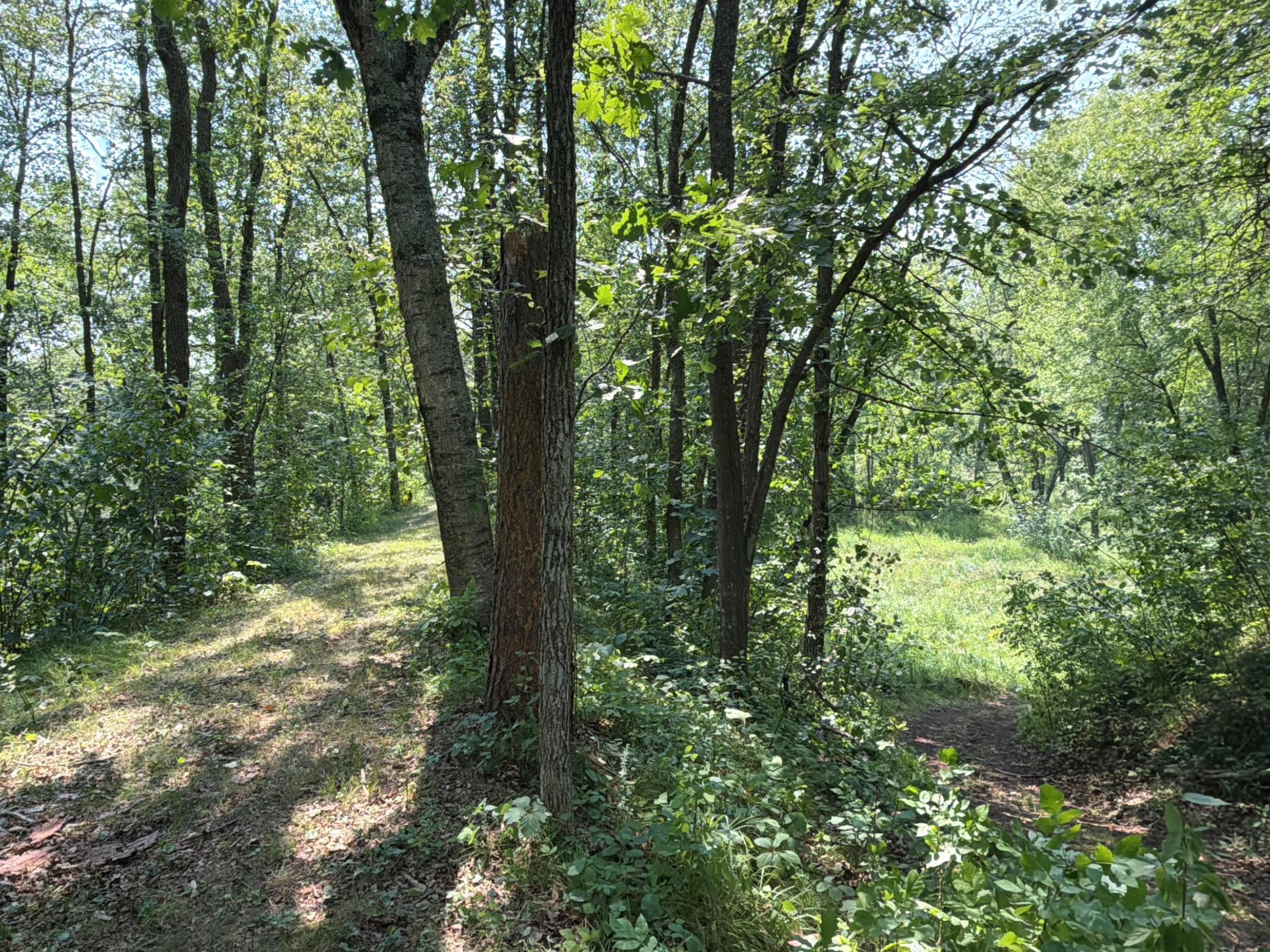 2490 County Road 39