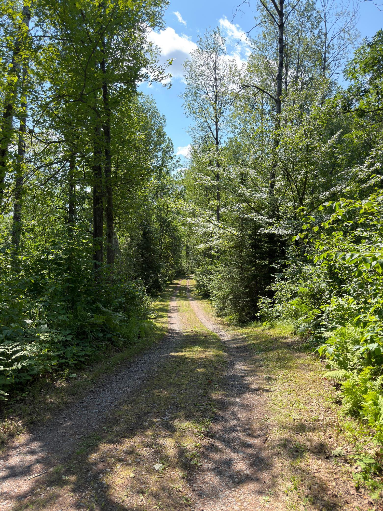 2490 County Road 39