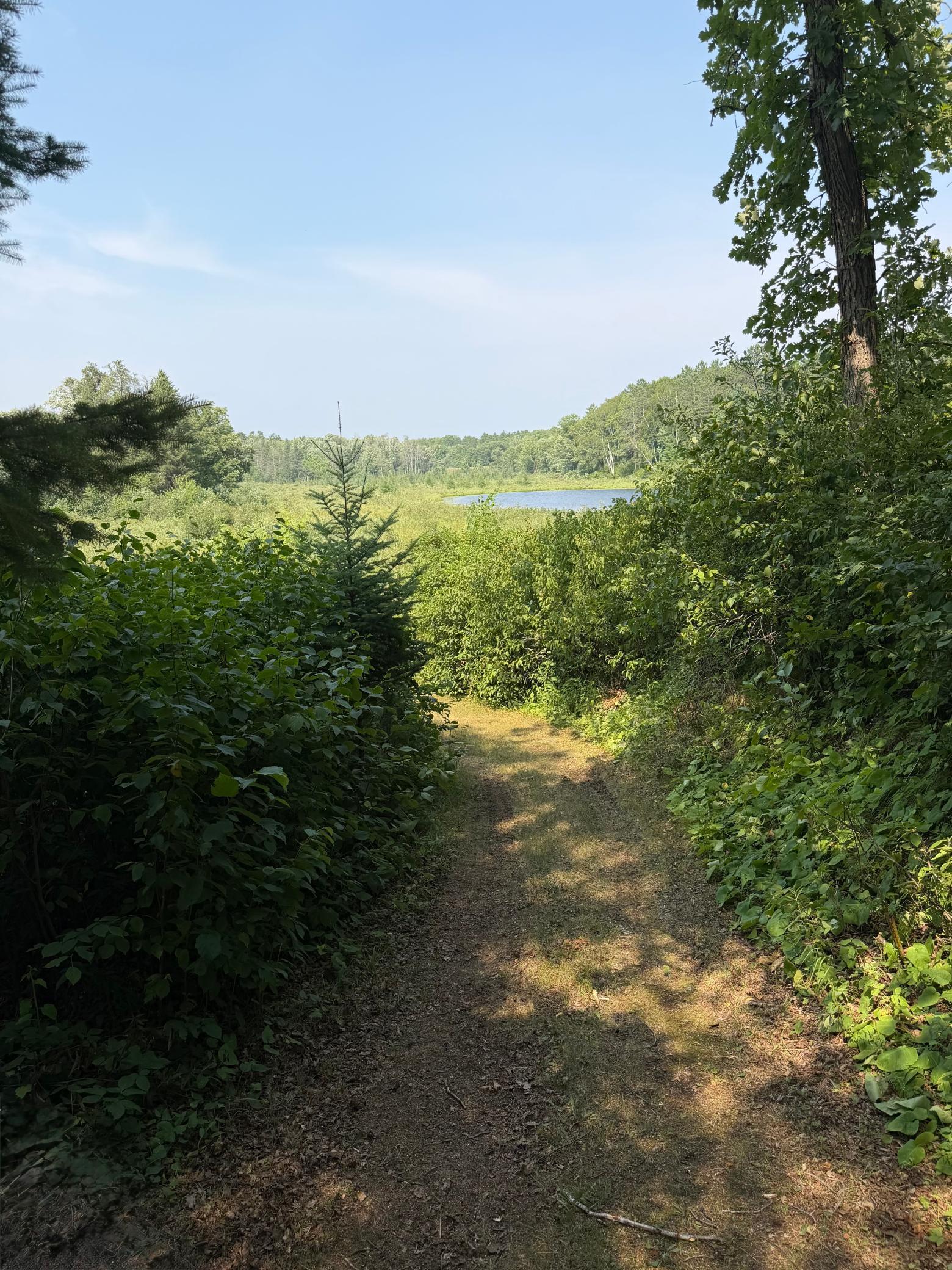 2490 County Road 39