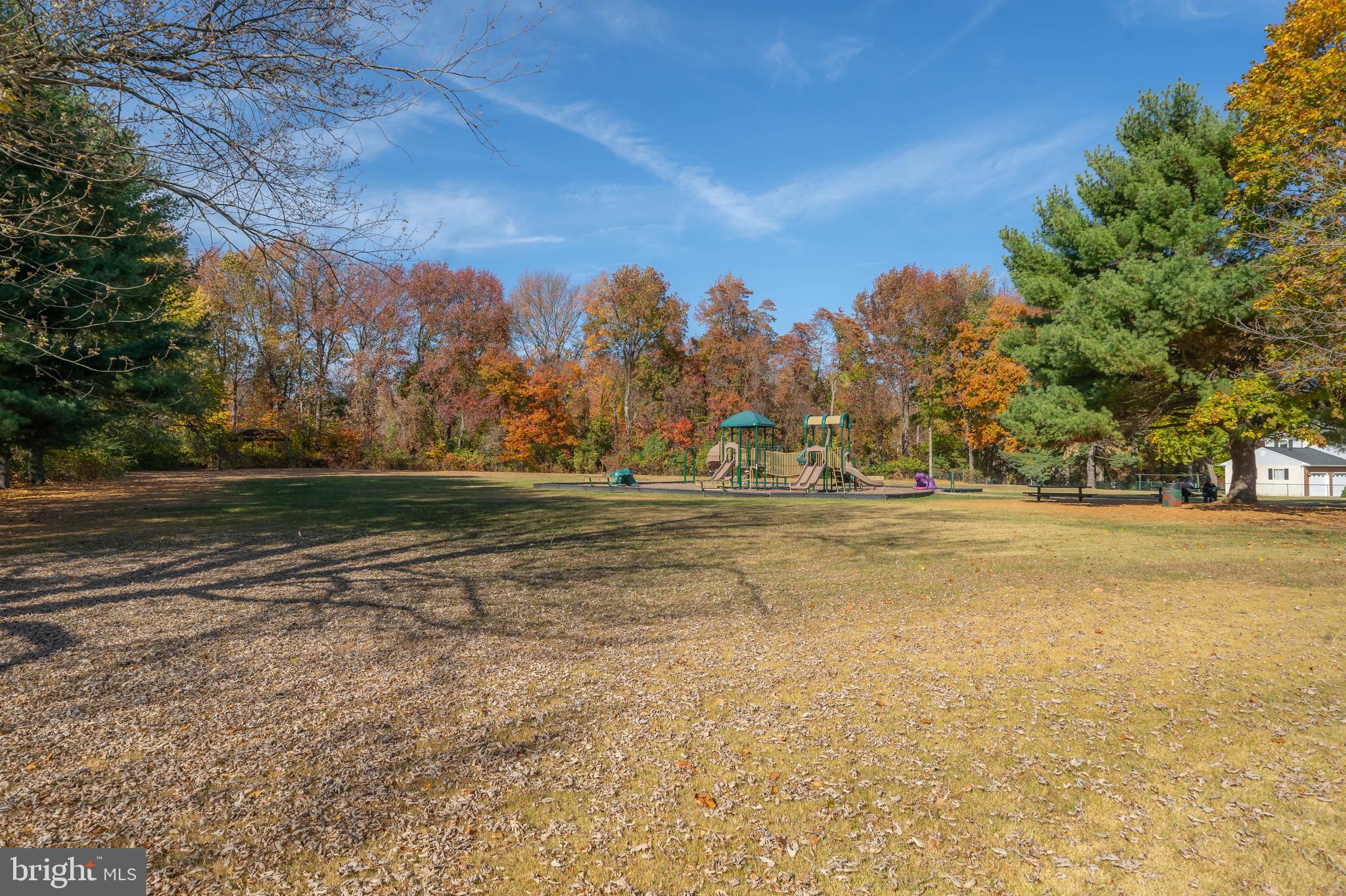 715 Plumtree Ln