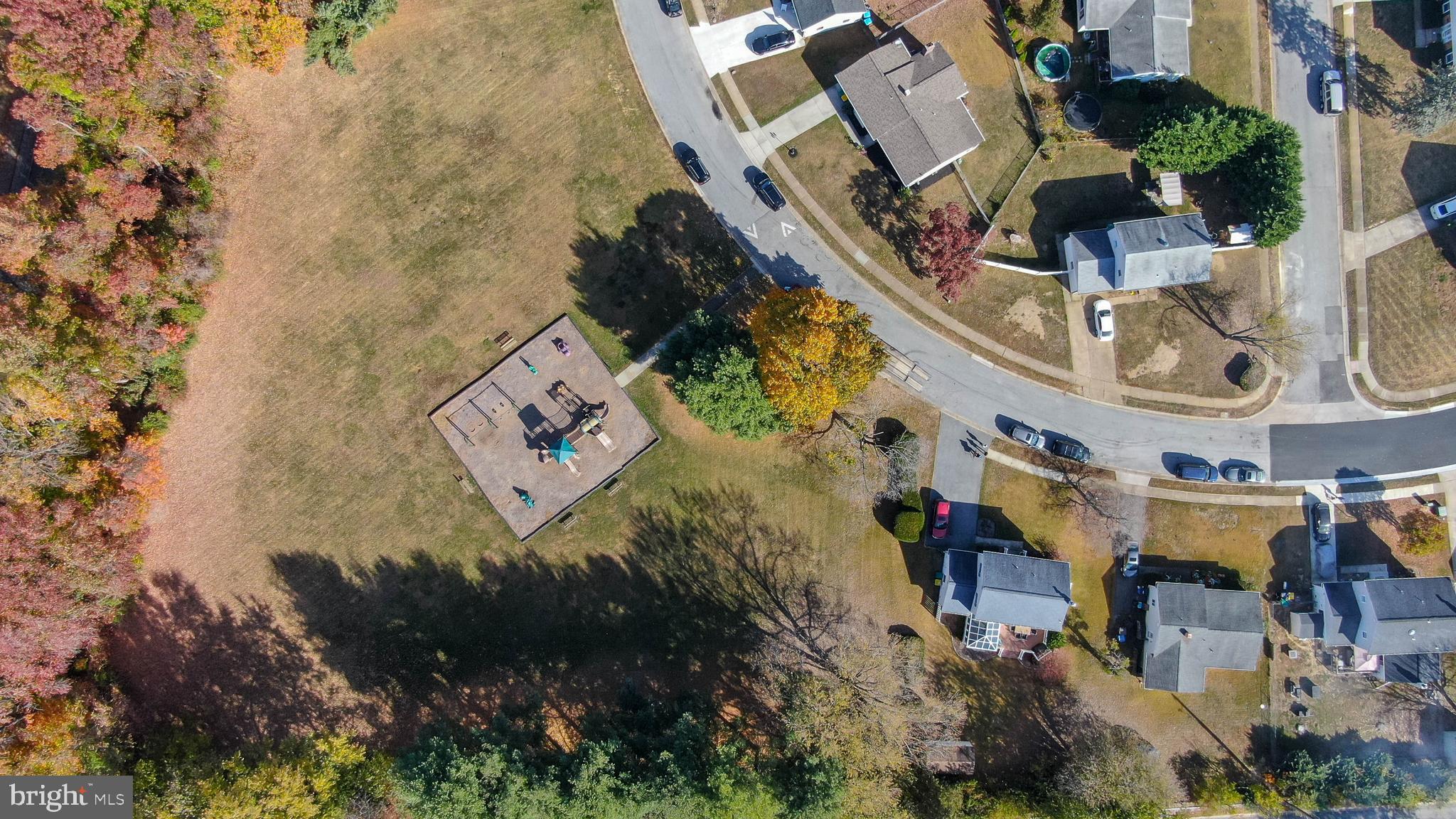 715 Plumtree Ln