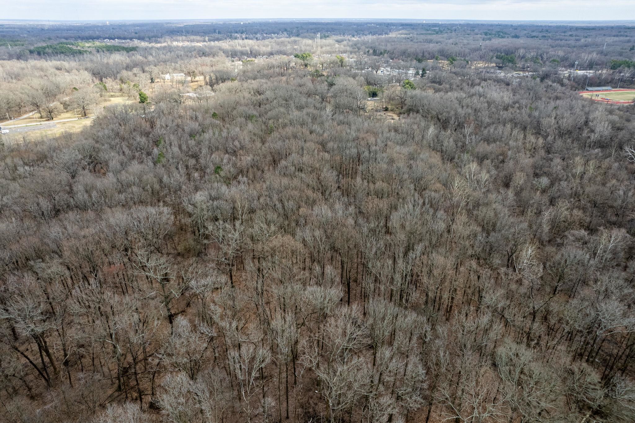 4429 RALEIGH-MILLINGTON RD
