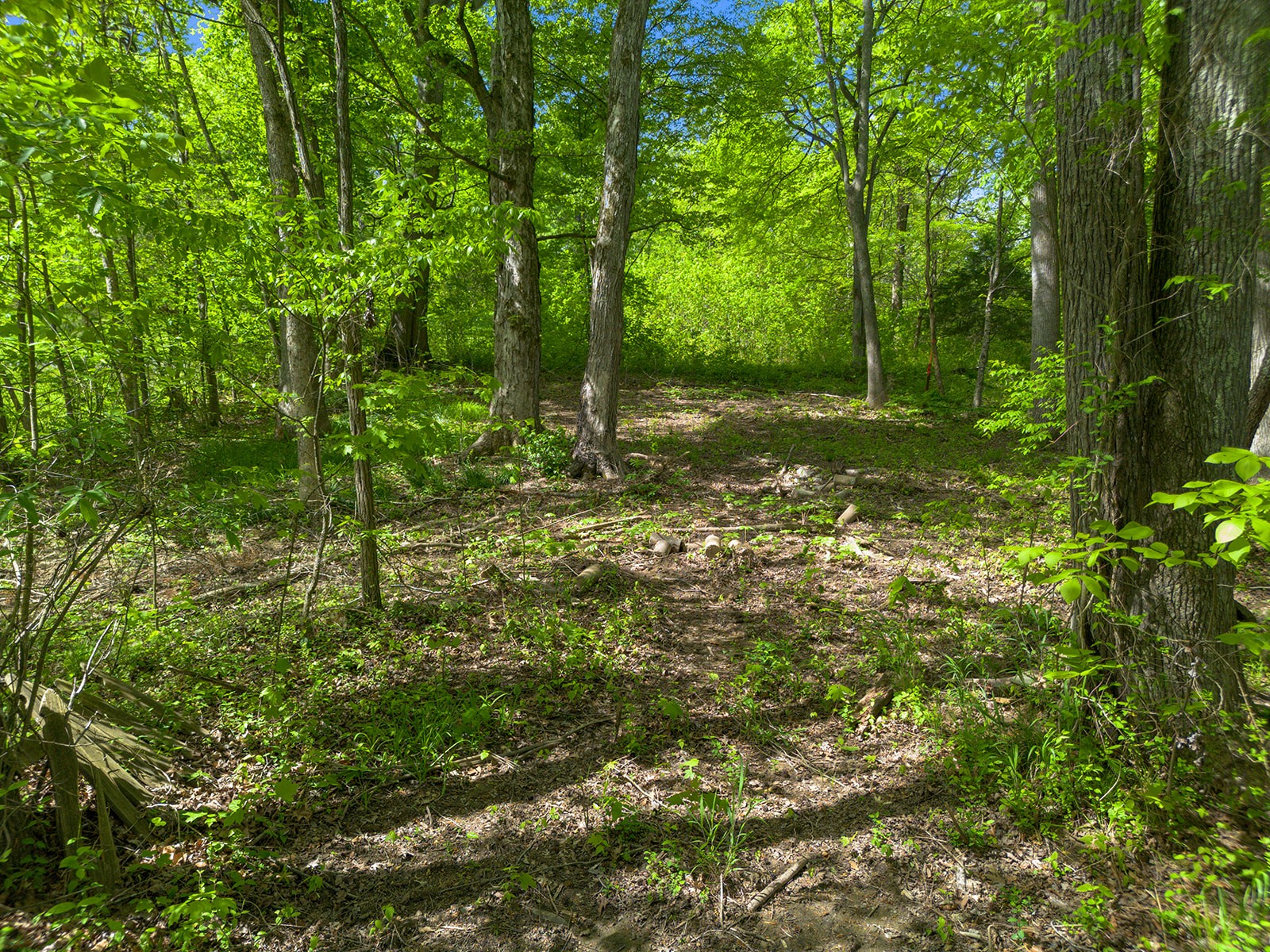 1202 Bloom Landing Rd