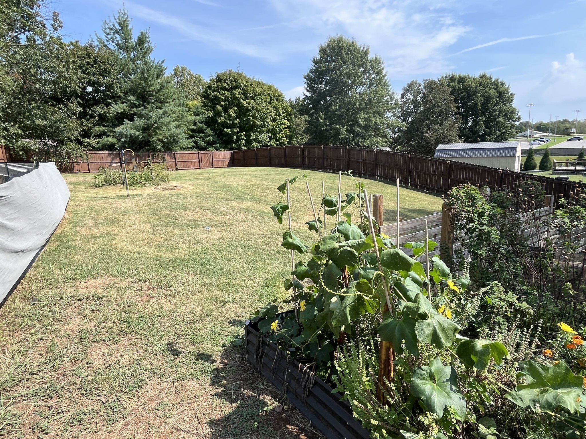111 Bellamy Ct