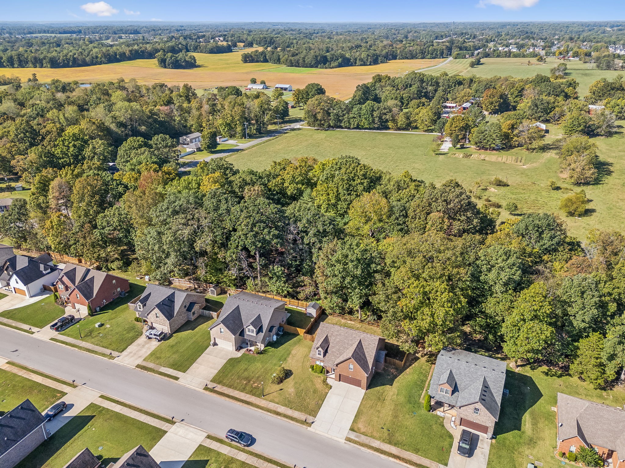1033 Grace Meade