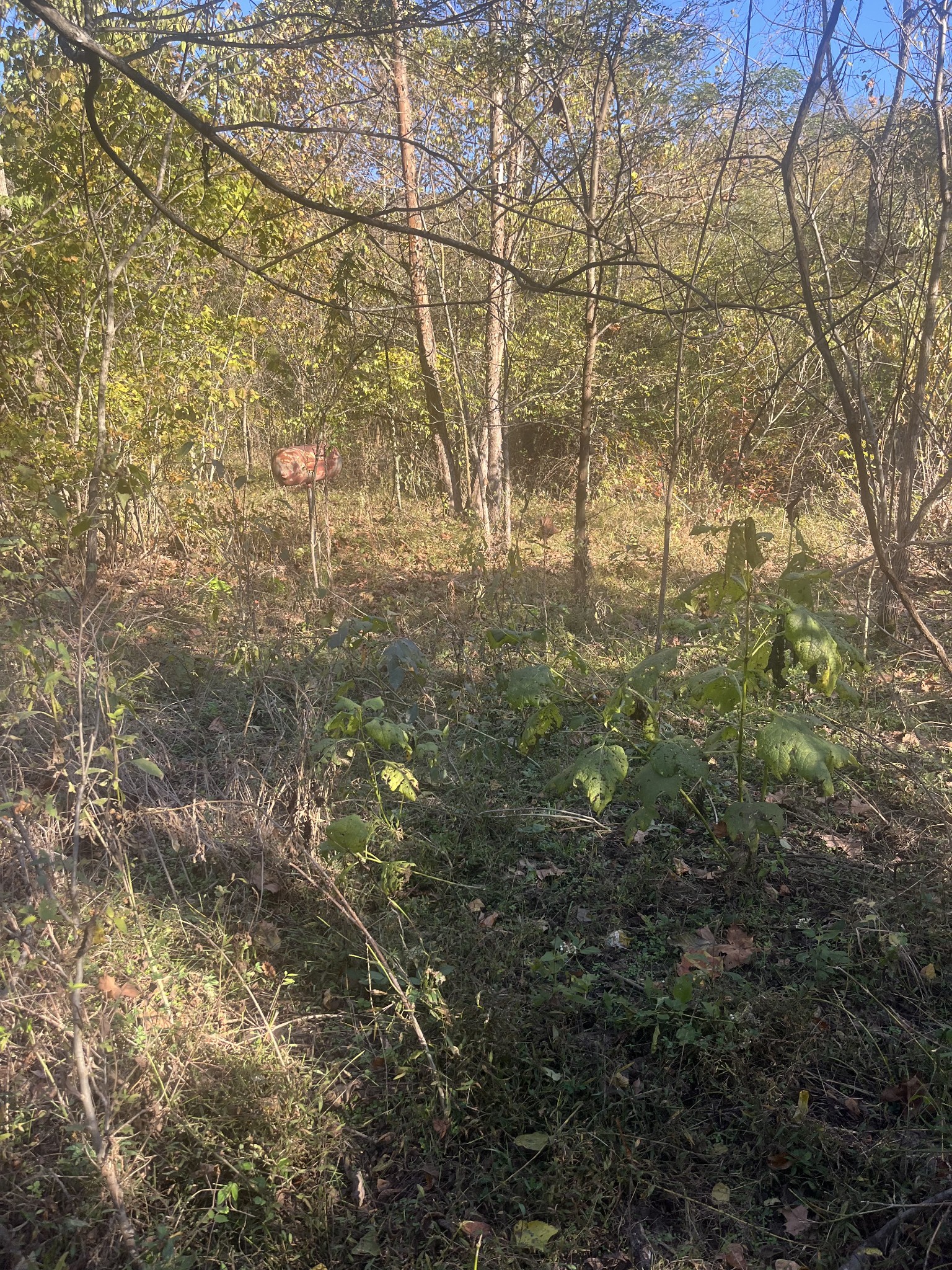 0 Lowery Cemetery Road