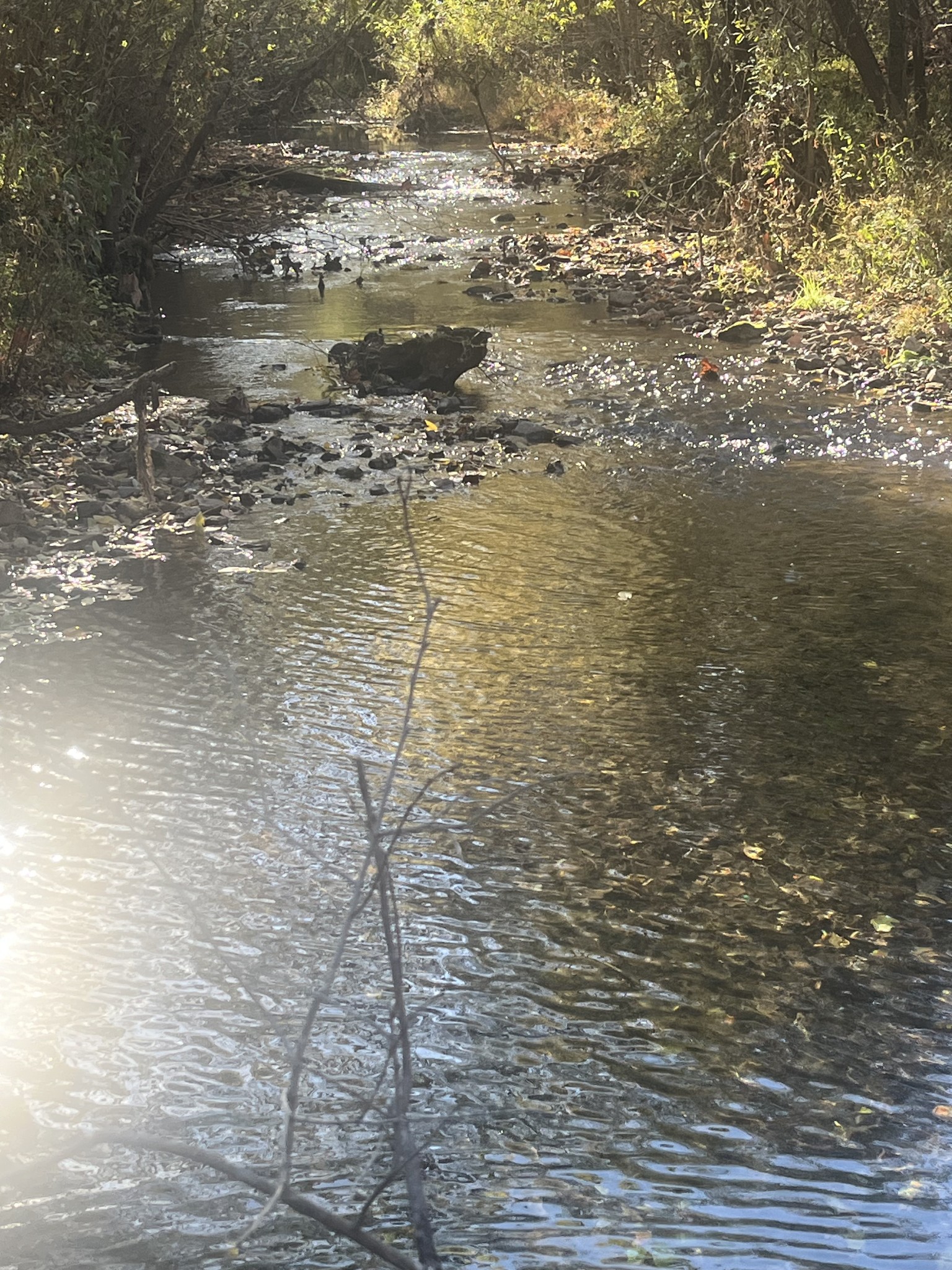 0 Lowery Cemetery Road