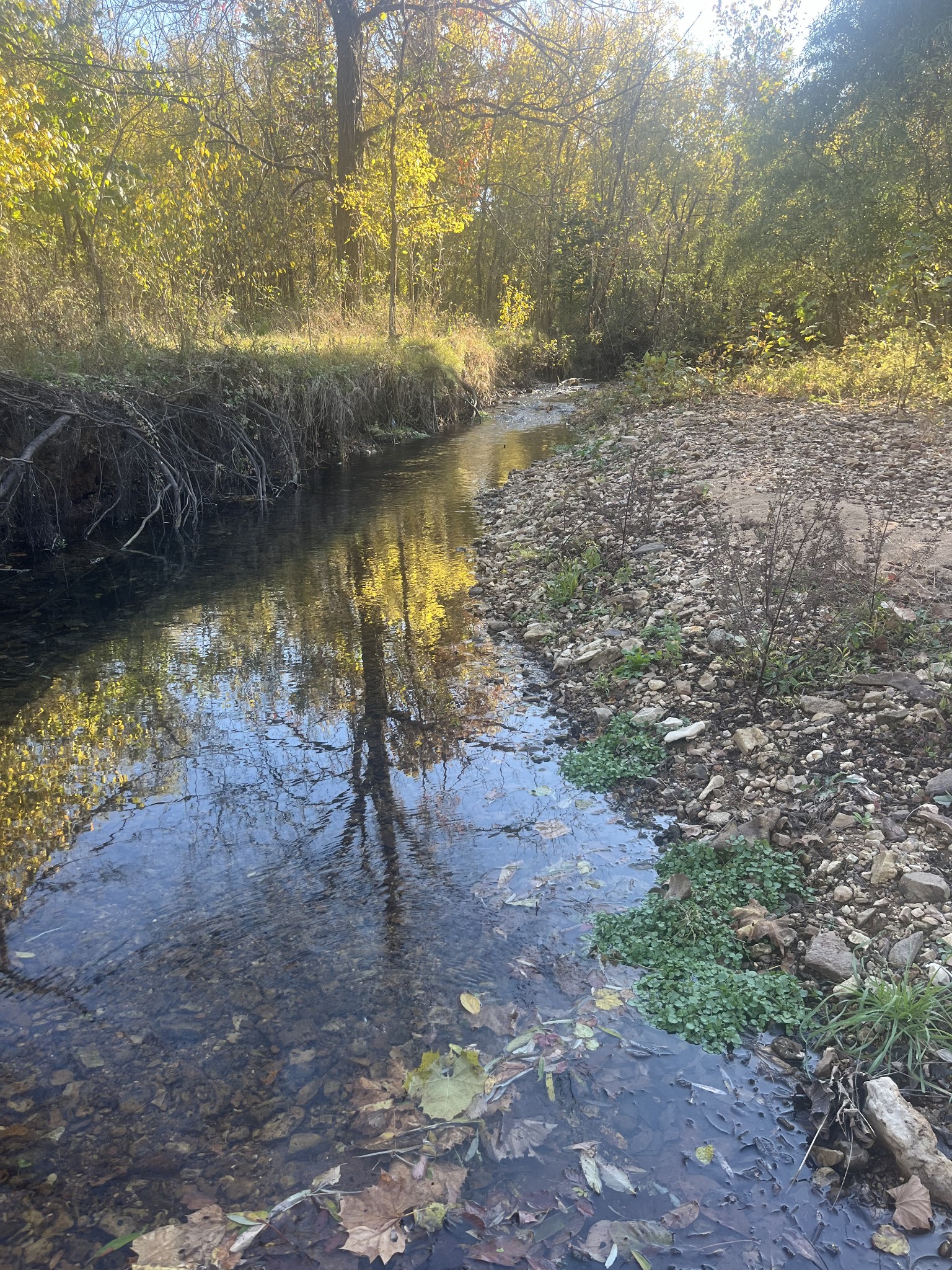 0 Lowery Cemetery Road