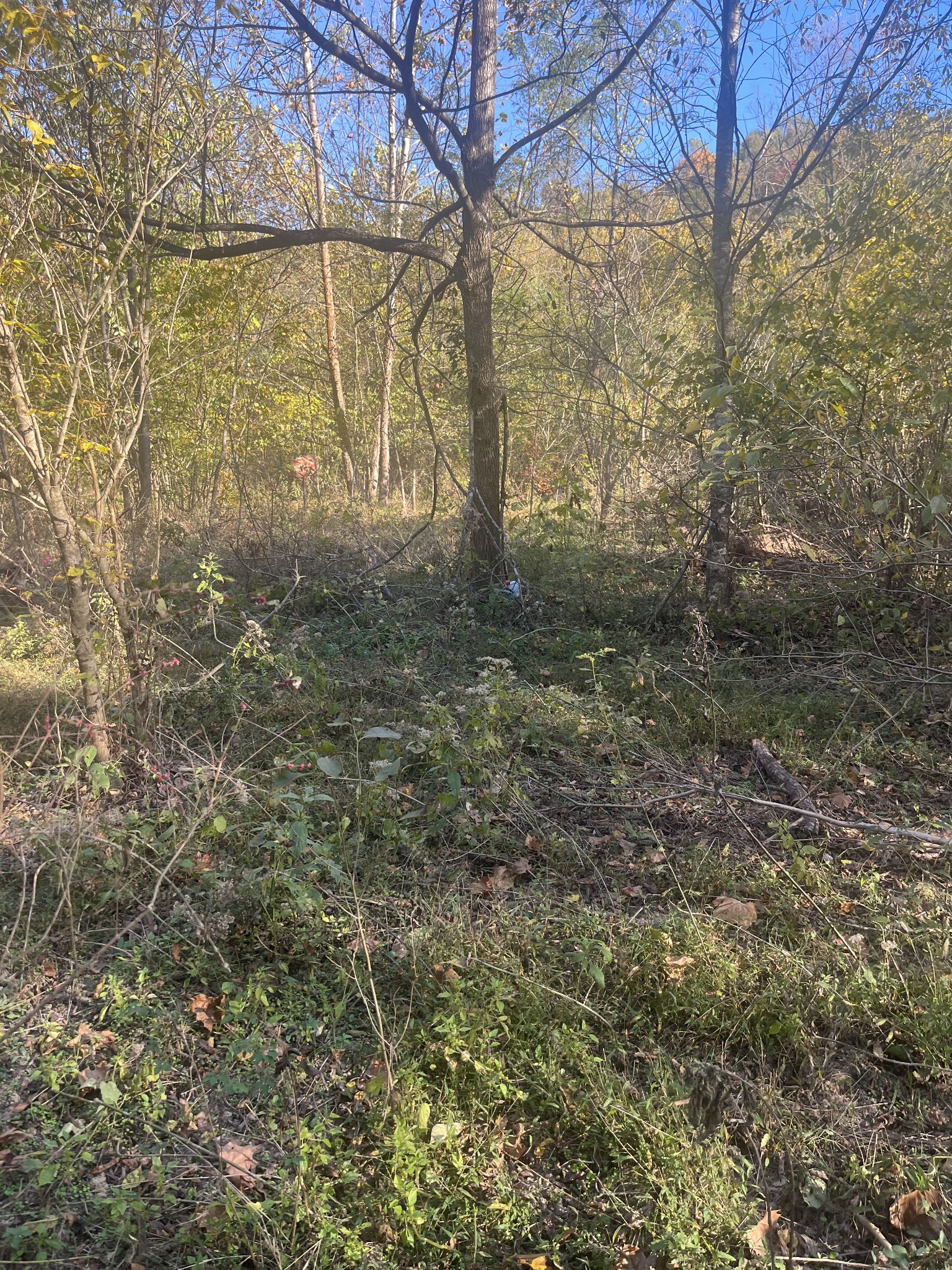 0 Lowery Cemetery Road