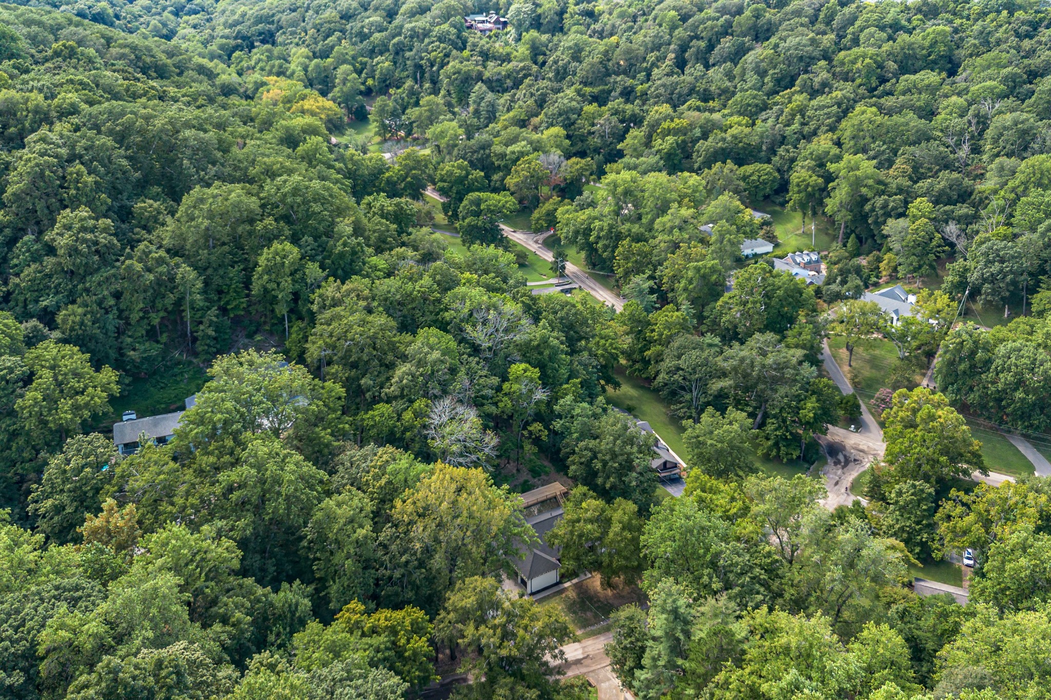 409 Wayside Ct