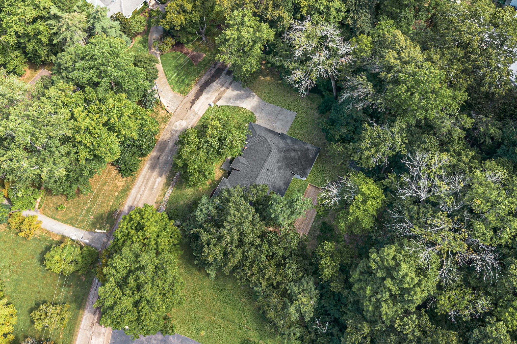 409 Wayside Ct