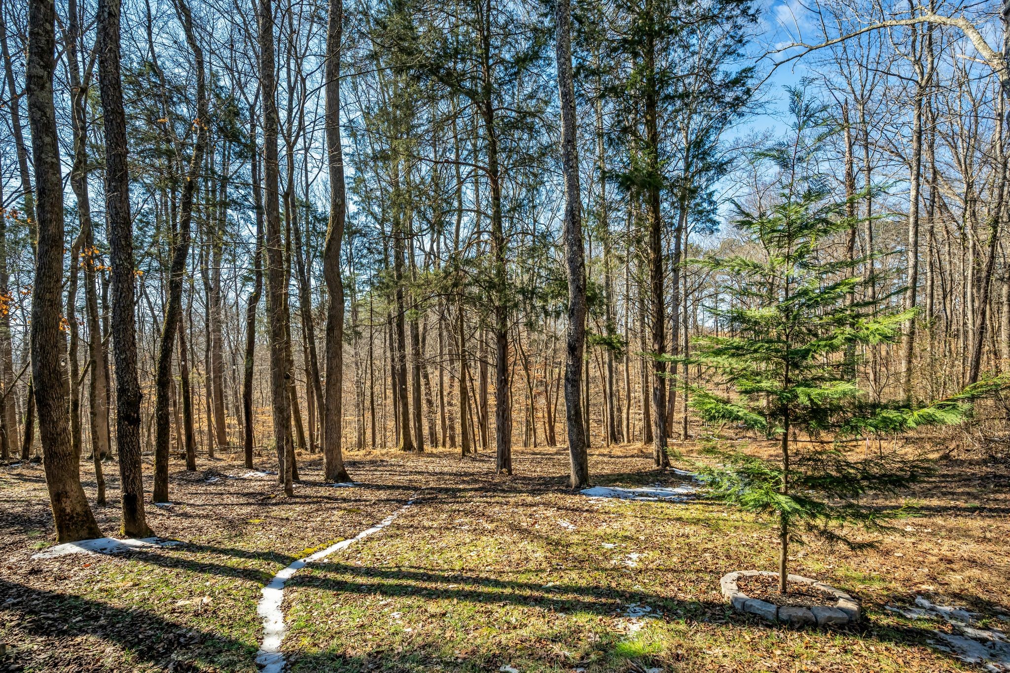1055 William Glen Rd
