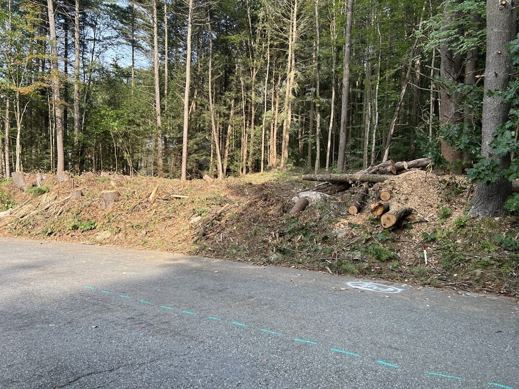 836 Cottage St. Lot 2