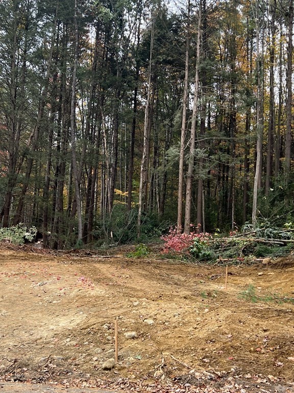 836 Cottage St. Lot 2