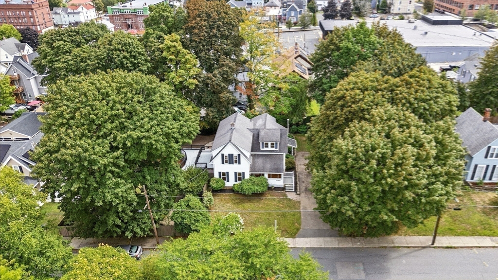 36 Chestnut