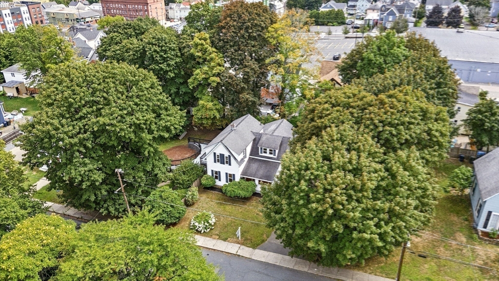 36 Chestnut