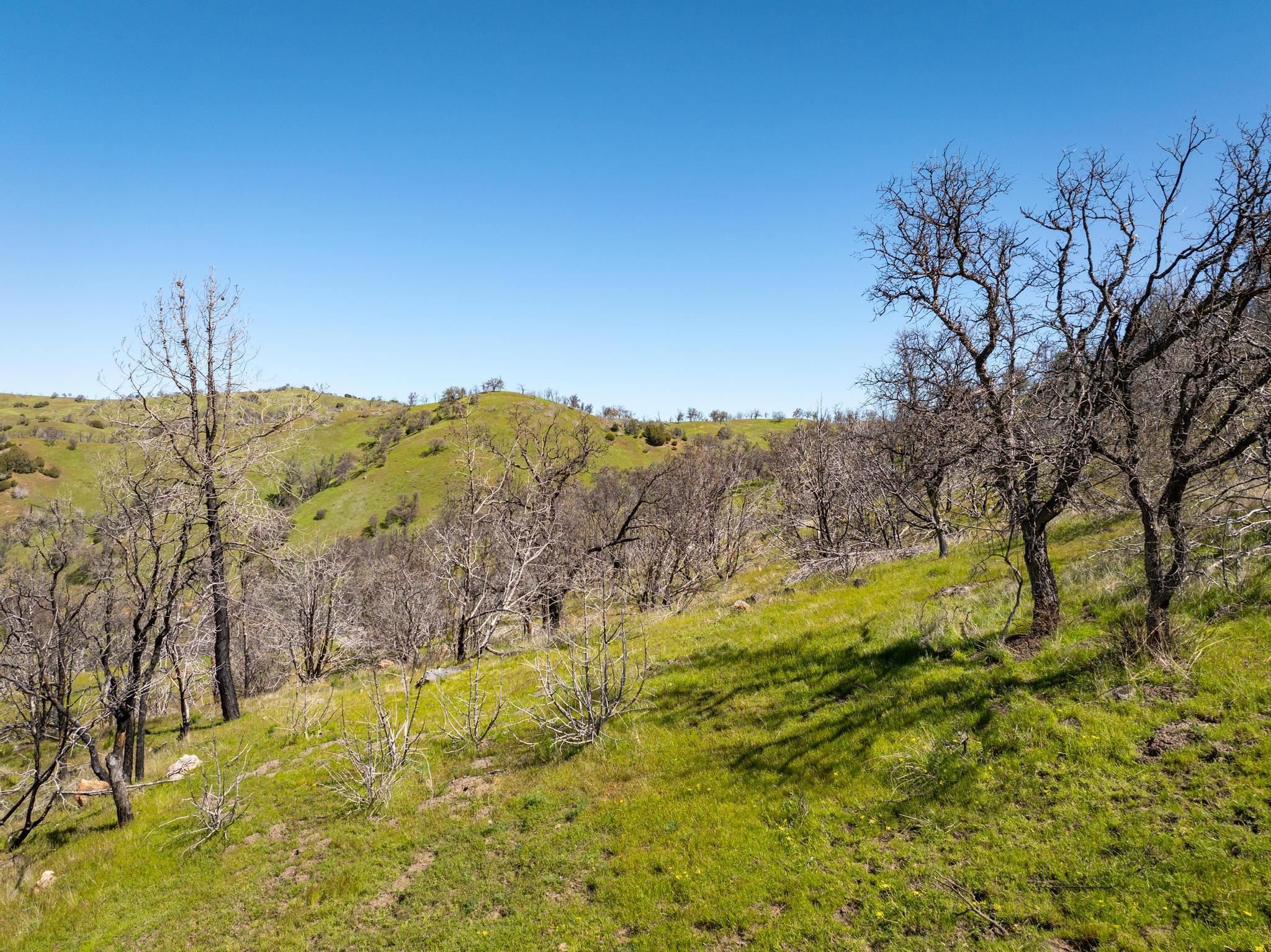 15676 W Corral Hollow Rd