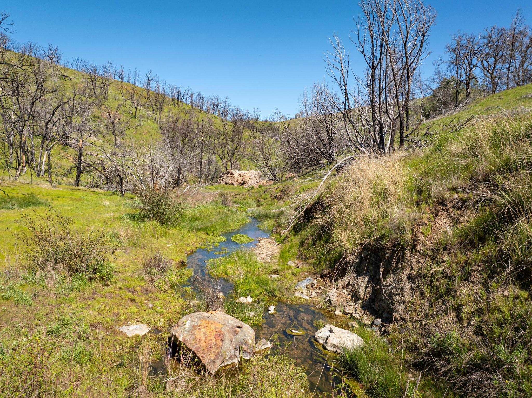 15676 W Corral Hollow Rd