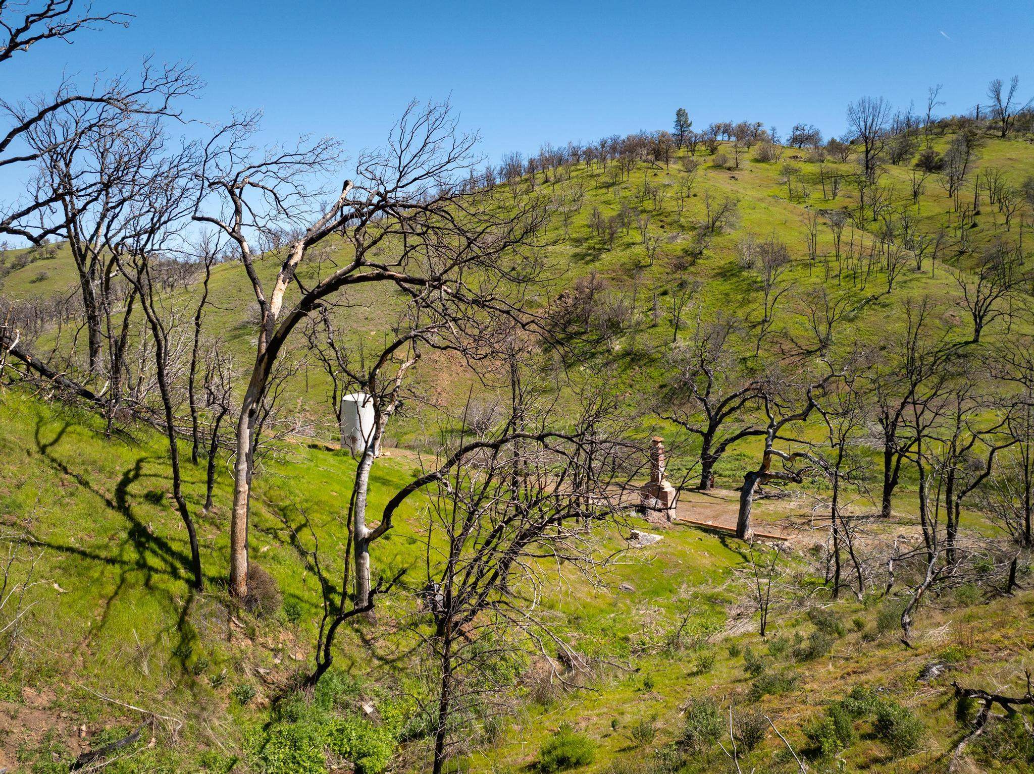 15676 W Corral Hollow Rd