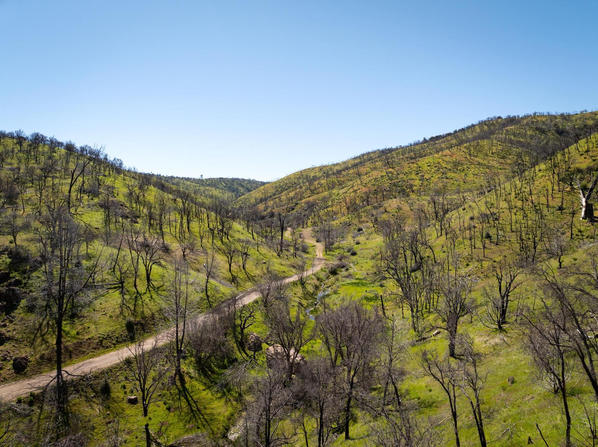 15676 W Corral Hollow Rd
